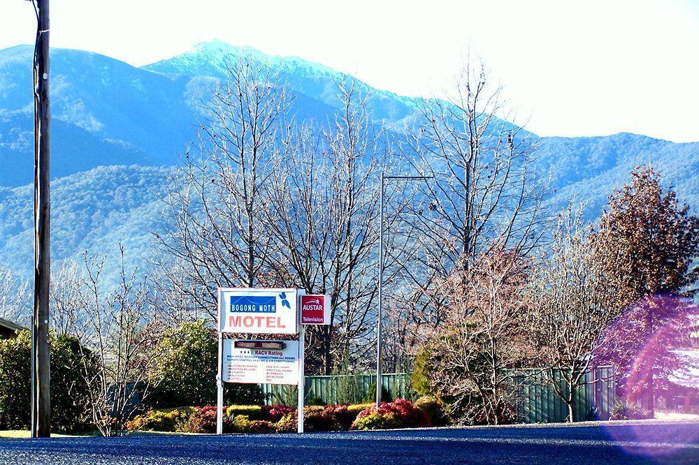 Bogong Moth Motel Mount Beauty Dış mekan fotoğraf
