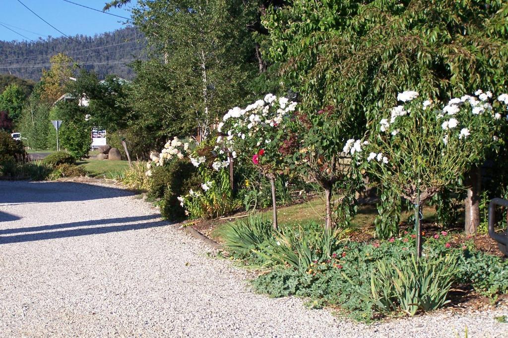 Bogong Moth Motel Mount Beauty Dış mekan fotoğraf