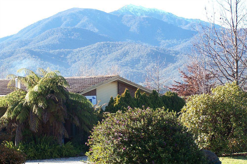 Bogong Moth Motel Mount Beauty Dış mekan fotoğraf
